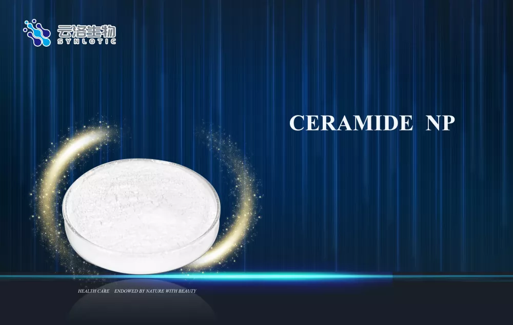 Žvaigždė barjero taisymo sudedamoji dalis – Ceramide NP