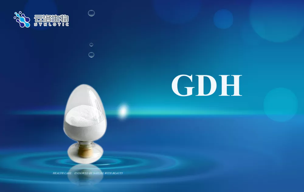 Kokios yra pagrindinės fermentų sąvokos?