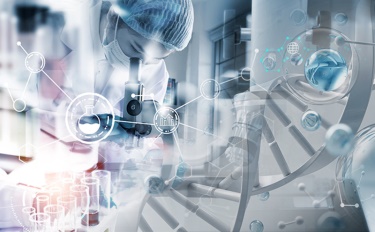 Grožio pasirinkimas: gilus ryšys tarp kosmetikos ir tvaraus gyvenimo