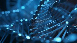 Ergotioninas: „Auksas antioksidantas“ maisto sveikatos pramonėje