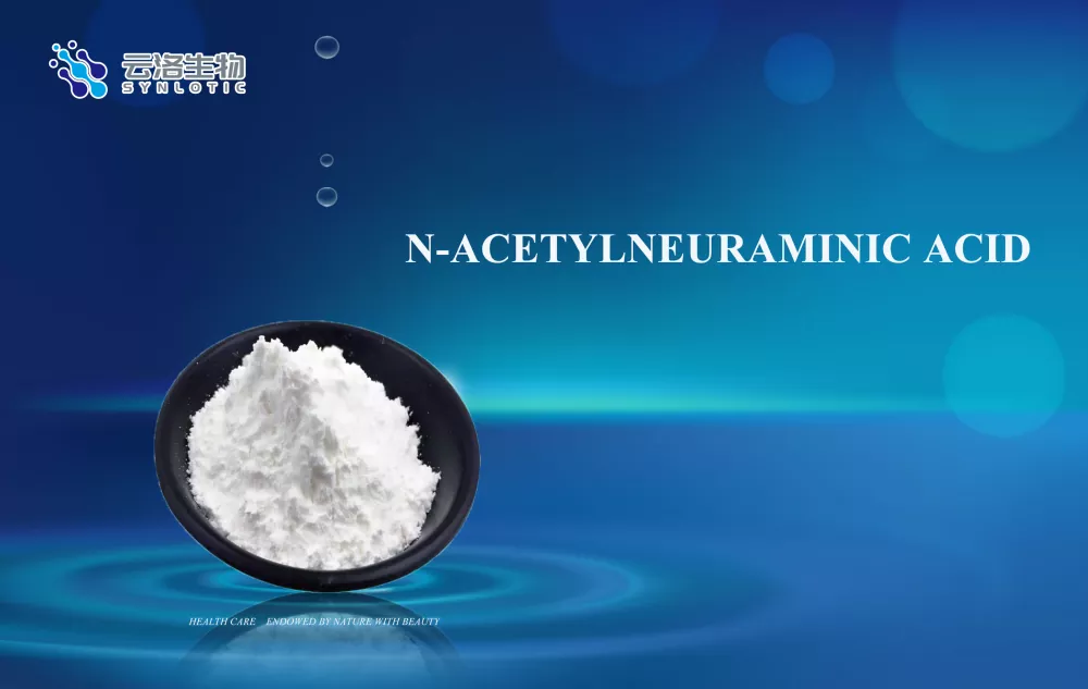 N-acetilneuramino rūgštis