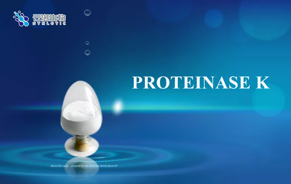 Protinazė k